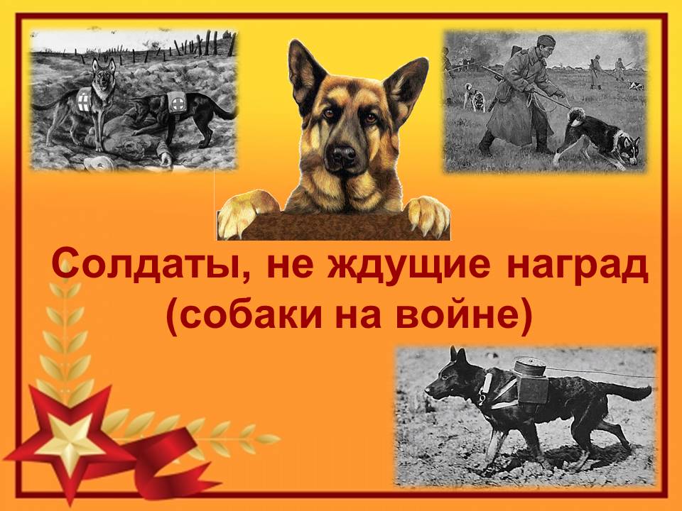 6 мая в школьной библиотеке в 1б классе прошел интегрированный урок с ИЗО «Солдаты, не ждущие наград (собаки на войне)».