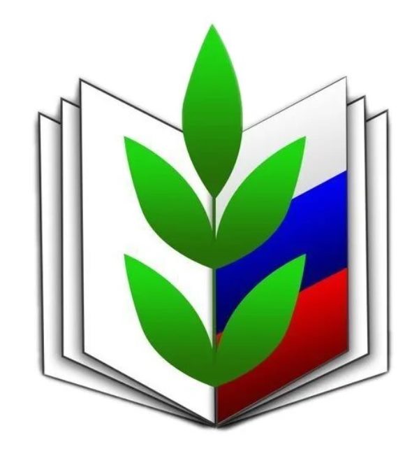 Первичная профсоюзная организация МБОУ «Средняя общеобразовательная школа №3» города Пикалево Бокситогорского района Профессионального союза работников народного образования и науки РФ.