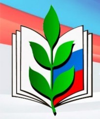 Первичная профсоюзная организация МБОУ «СОШ №3» города Пикалево Бокситогорского района Профессионального союза работников народного образования и науки РФ.